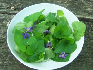 violet salad