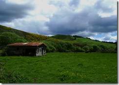 Old Barn