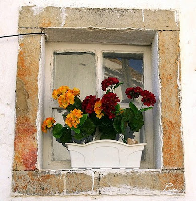 Fotografías de ventanas en Portugal by Flickr Users