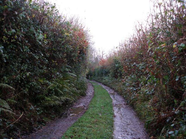 2nd_december_2009