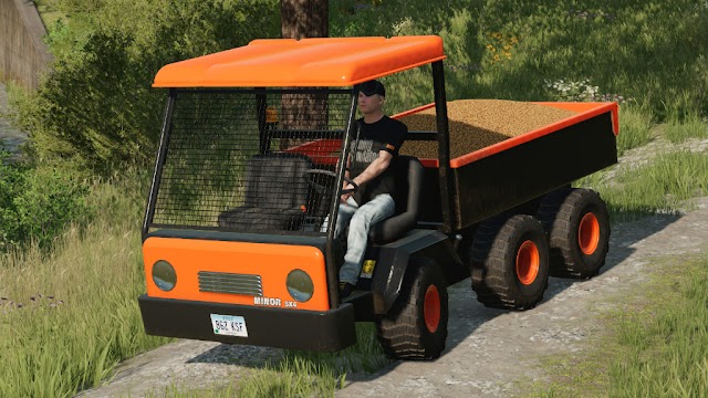 FS22 Lizard Minor 6x4 PC e Console