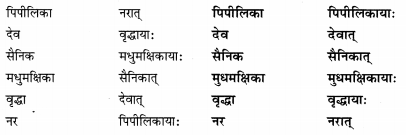 Abhyasvan Bhav Class 9 Solutions Chapter 6 कारकोपपदविभक्तिः