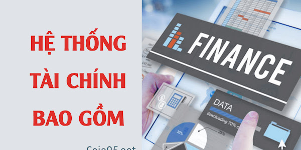 Hệ thống tài chính bao gồm