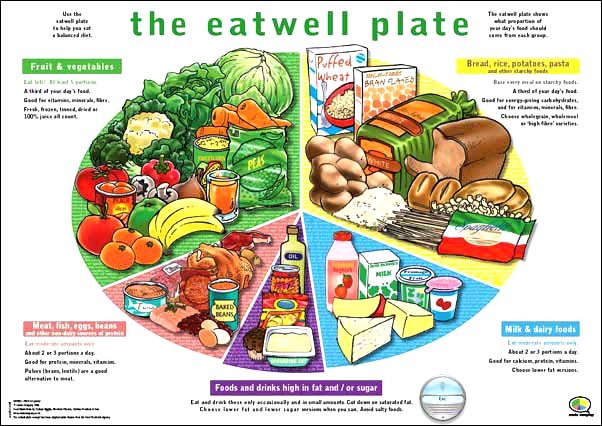... of your diet right, use the Eatwell Plate." - Food Standards Agency