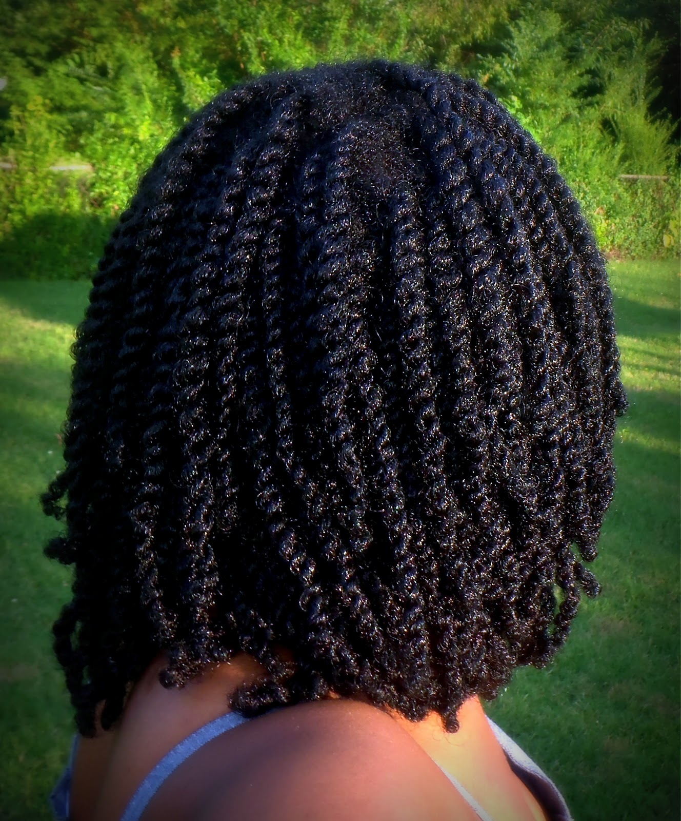 FroStoppa: Ms-gg's natural hair journey and natural hair blog: Mini Twists are Back in the House