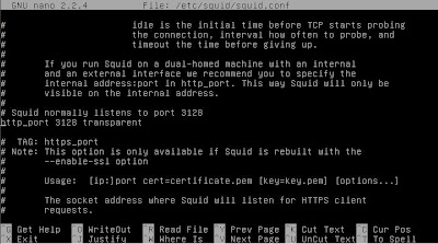 Proxy Debian Squeeze