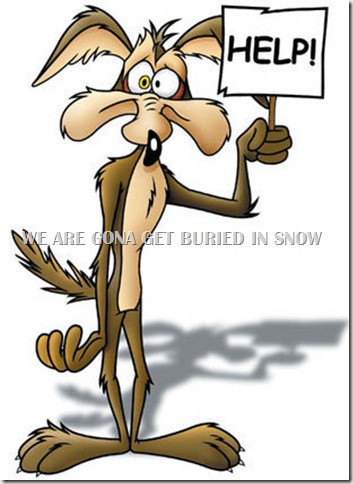 Wile-E-Coyote