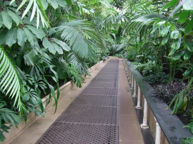 Inside the Palm House, Kew Gardens London