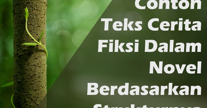 Contoh Teks Cerita Fiksi Novel Berdasarkan Strukturnya 