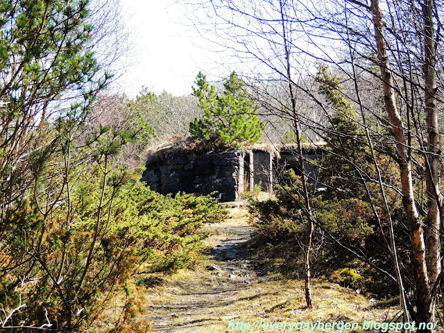 Bergen Herdla