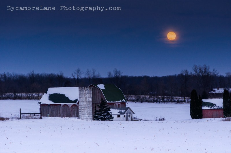 SycamoreLane Photography--moonlight