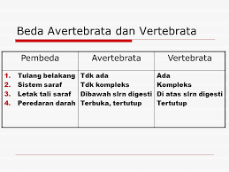  Hewan  Vertebrata  Dan  Invertebrata Perbedaannya