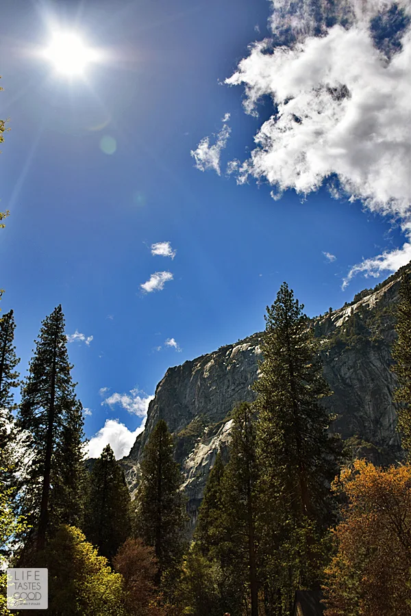 I'm sharing my secret to seeing Yosemite in a day! I'll fill you in on how we saw many of the favorite attractions in Yosemite National Park all in just one day! Add this to your bucket list! #LTGtravels