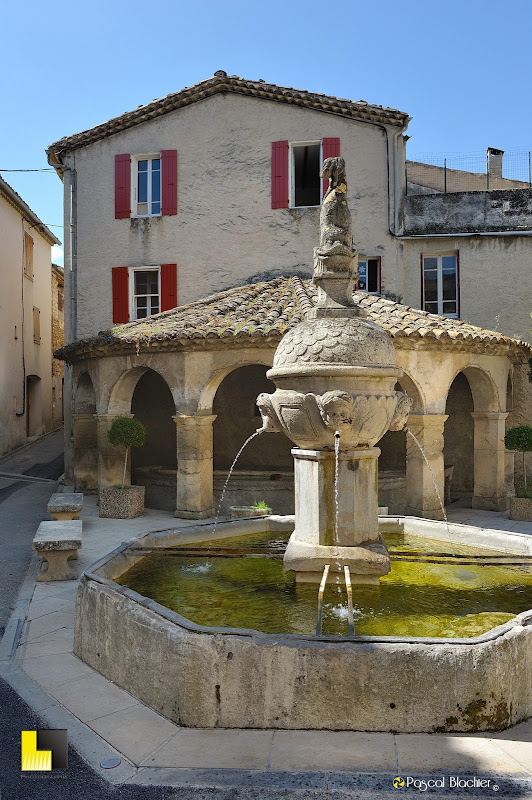 la fontaine au dauphin photo pascal blachier au delà du cliché