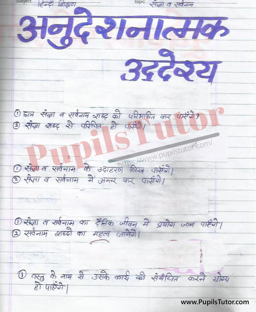 Sangya or Savarnam Ke Prakar Lesson Plan in Hindi for B.Ed First Year - Second Year - DE.LE.D - DED - M.Ed - NIOS - BTC - BSTC - CBSE - NCERT Download PDF for FREE