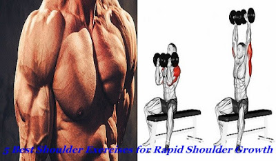 Top 5 Shoulders Exercises For Rapid Growth