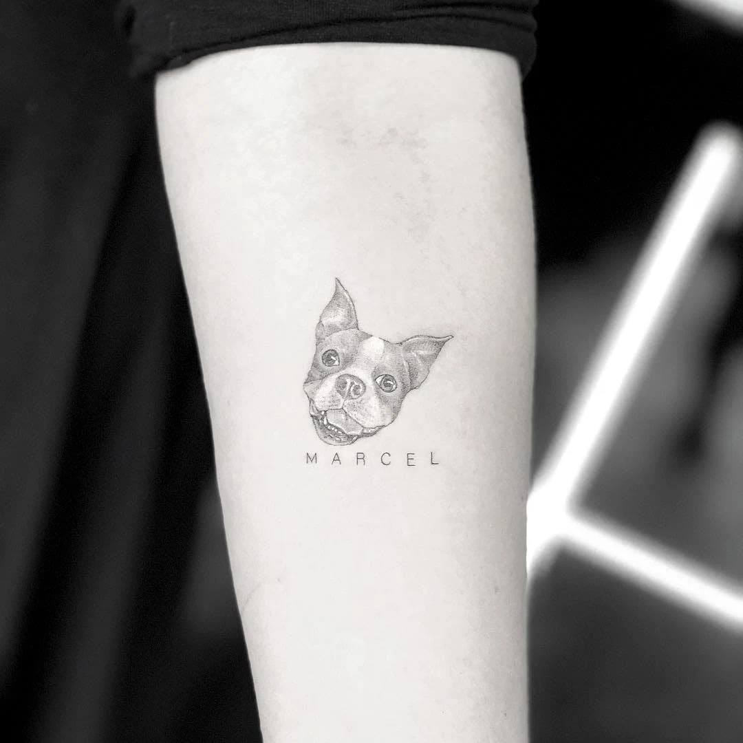 Tatuaje pequeño de bulldog frances en brazo de mujer
