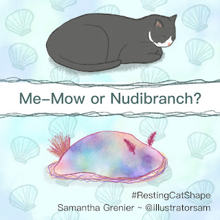 © Samantha Grenier 2020: Resting Cat Shape - Nudibranch