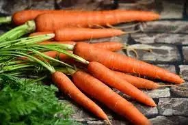 health benefits of carrots. Bunch of Carrots