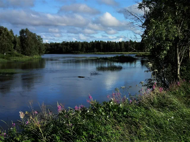 joki, Pyhäjoki, kesä, joki, river