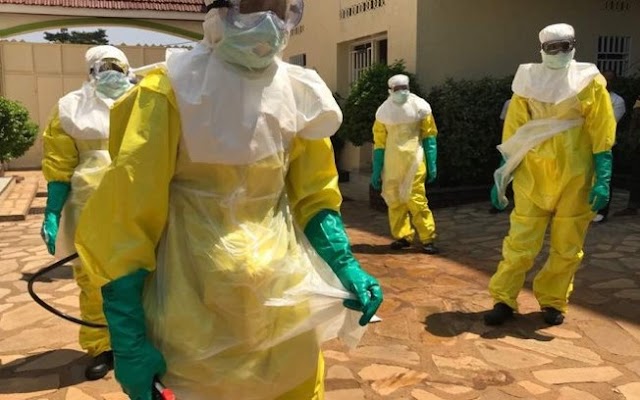 Vírus mortal pode vir de floresta, diz cientista que descobriu o Ebola