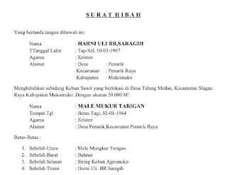 Surat Hibah Kebun Sawit  SEMUA SURAT