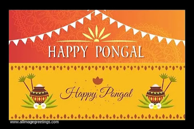 Pongal photo