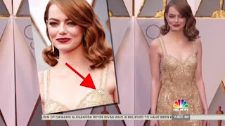 Emma Stone wore a gold Planned Parenthood pin during the Oscars