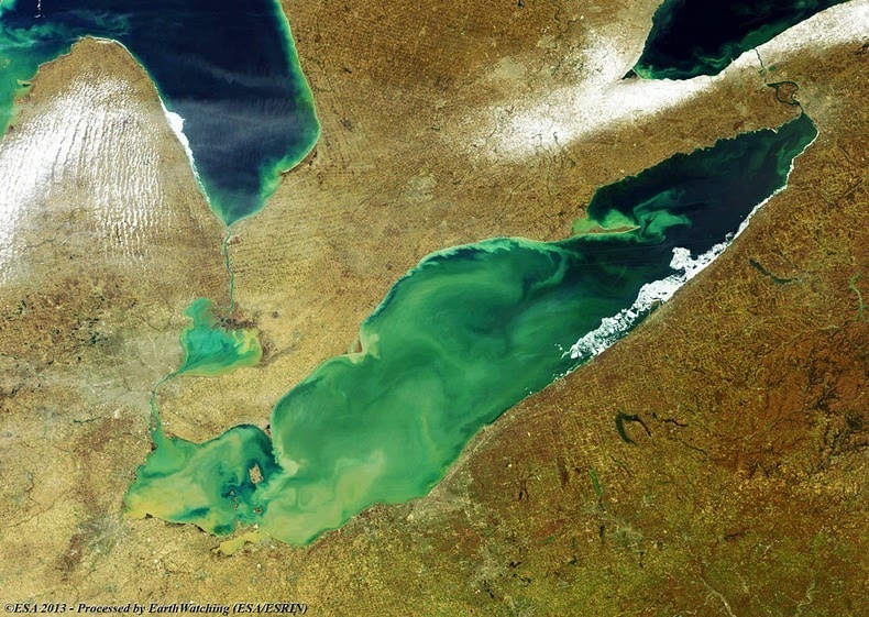 lake-erie-algae-4
