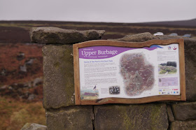 Upper Burbage edge 