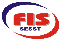 logo fis