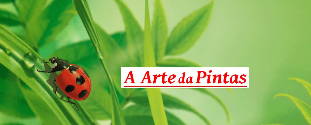 A ARTE DA PINTAS