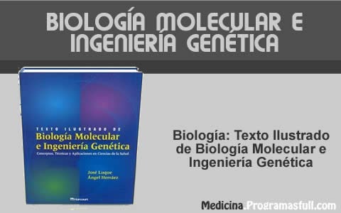 Anatomia Aplicada Biomecanica