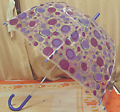 transparent dome umbrella
