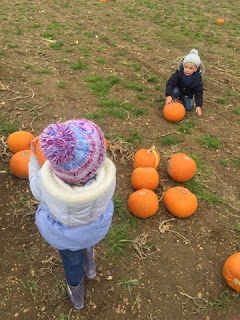 pumpking picking pickell farm southampon