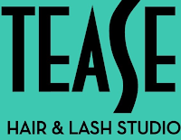 http://teasesalonboise.com/