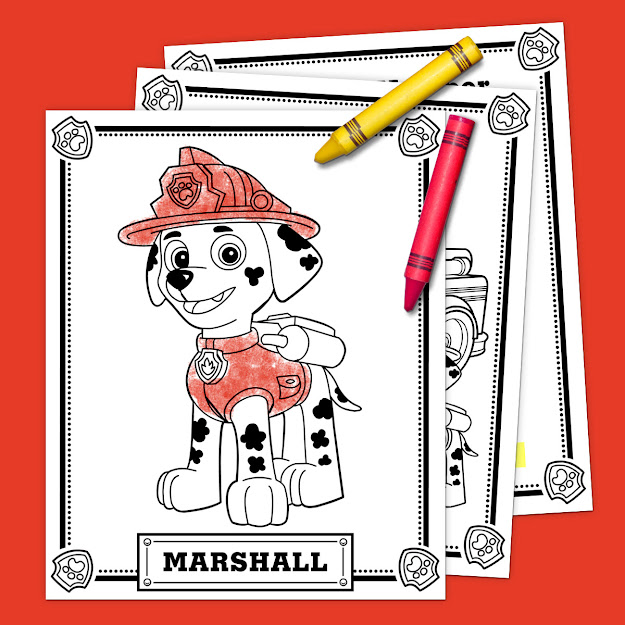 Savesave To Pinterest Marshall Pack