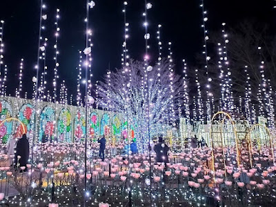 あしかがフラワーパーク 光のバラ園