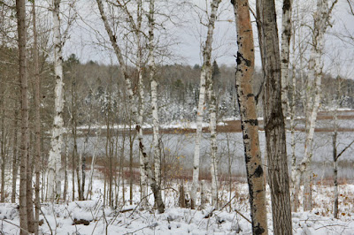 near the northern end on MN's Congressional District 8