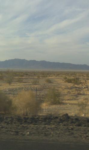 IMAG0325.jpg