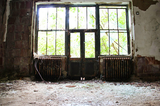 Isla abandonada y solitaria en medio de Nueva York