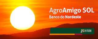 Banco do Nordeste investe no Crédito Verde e incentiva produção de energia renovável