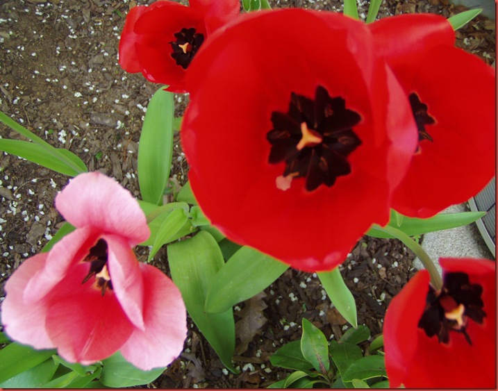 058