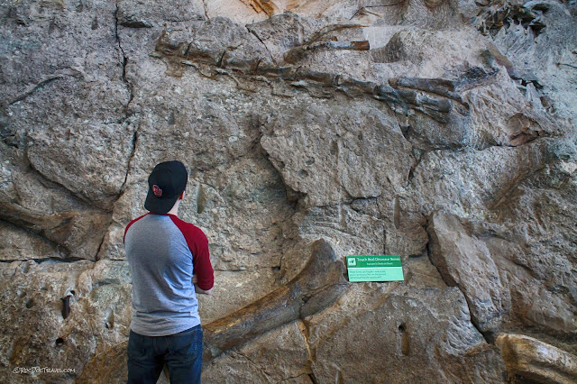 Dinosaur National Monument Utah geology fossils travel rocks hiking camping outdoors scenery copyright RocDocTravel.com