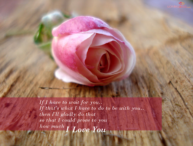 i love you quote