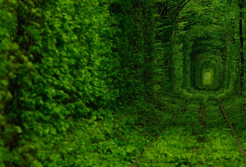 tunnel-of-love-3