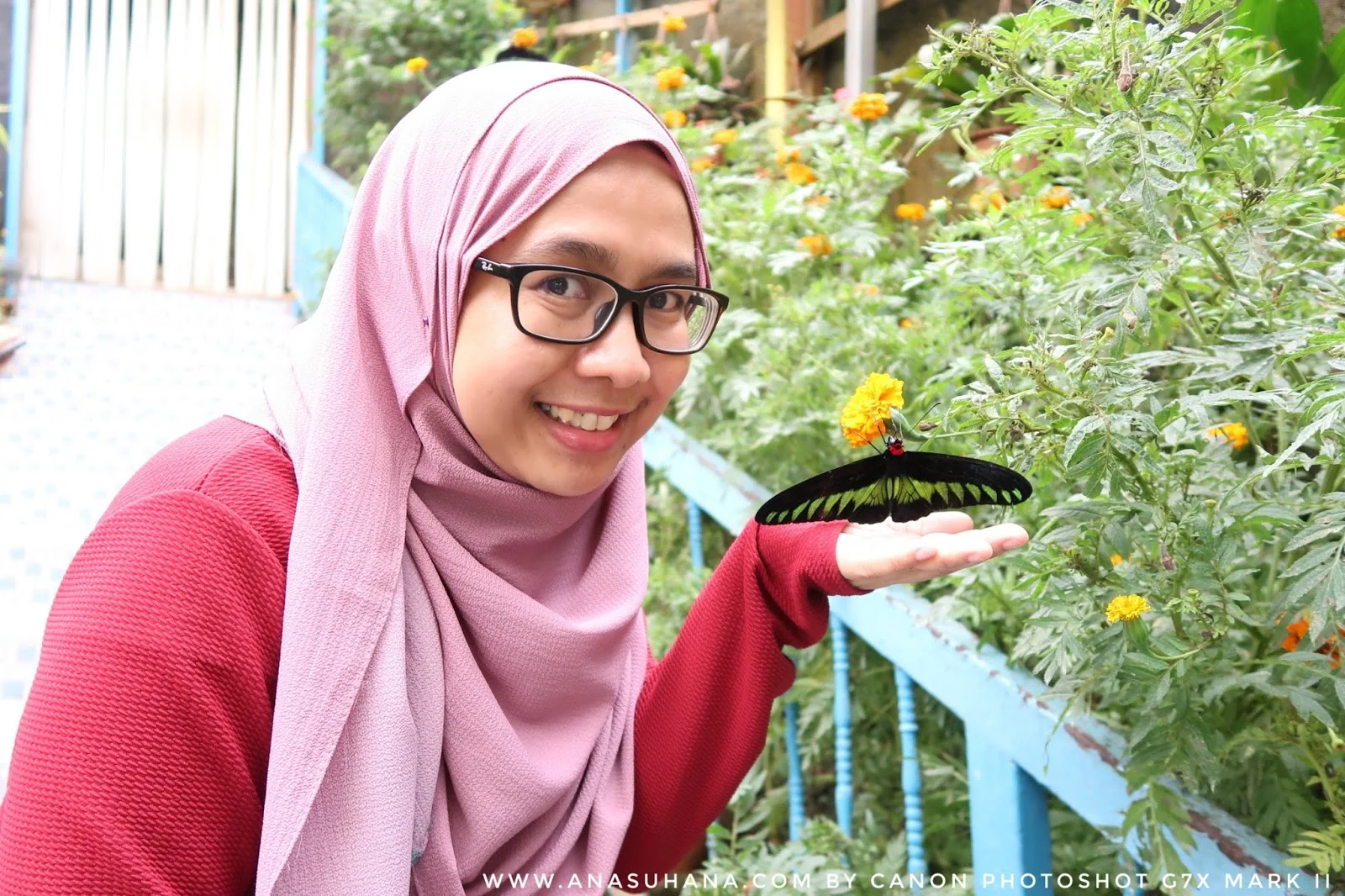 10 Tempat Menarik di Cameron Highlands Wajib Singgah