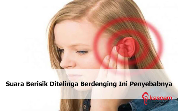 perlindungan bising telinga