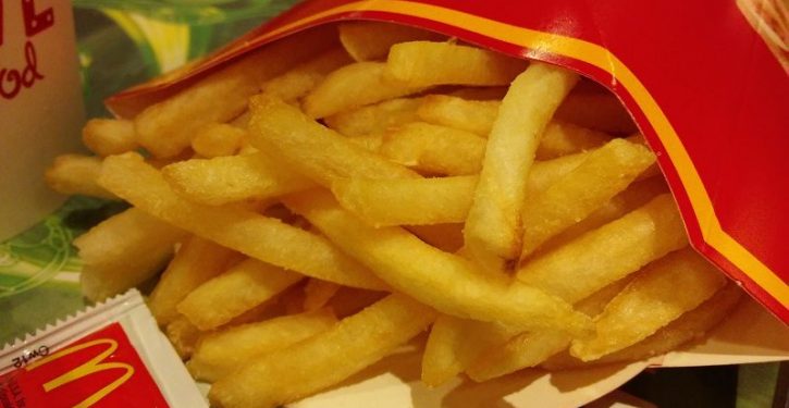 The Composition Of Mc Donalds Fries Is Toxic