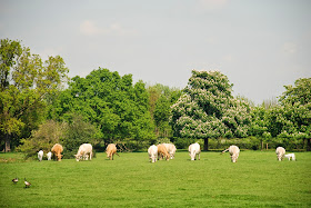 Osterley Park, West London